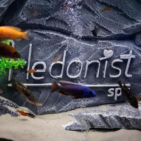 Hedonist-Belgrade Central Nest Eksteriør billede